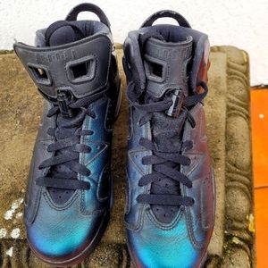 Chameleon Jordan Retro 6